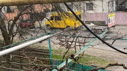 Все буде Україна: в селі на Закарпатті кладуть асфальт попри війну - 285x160