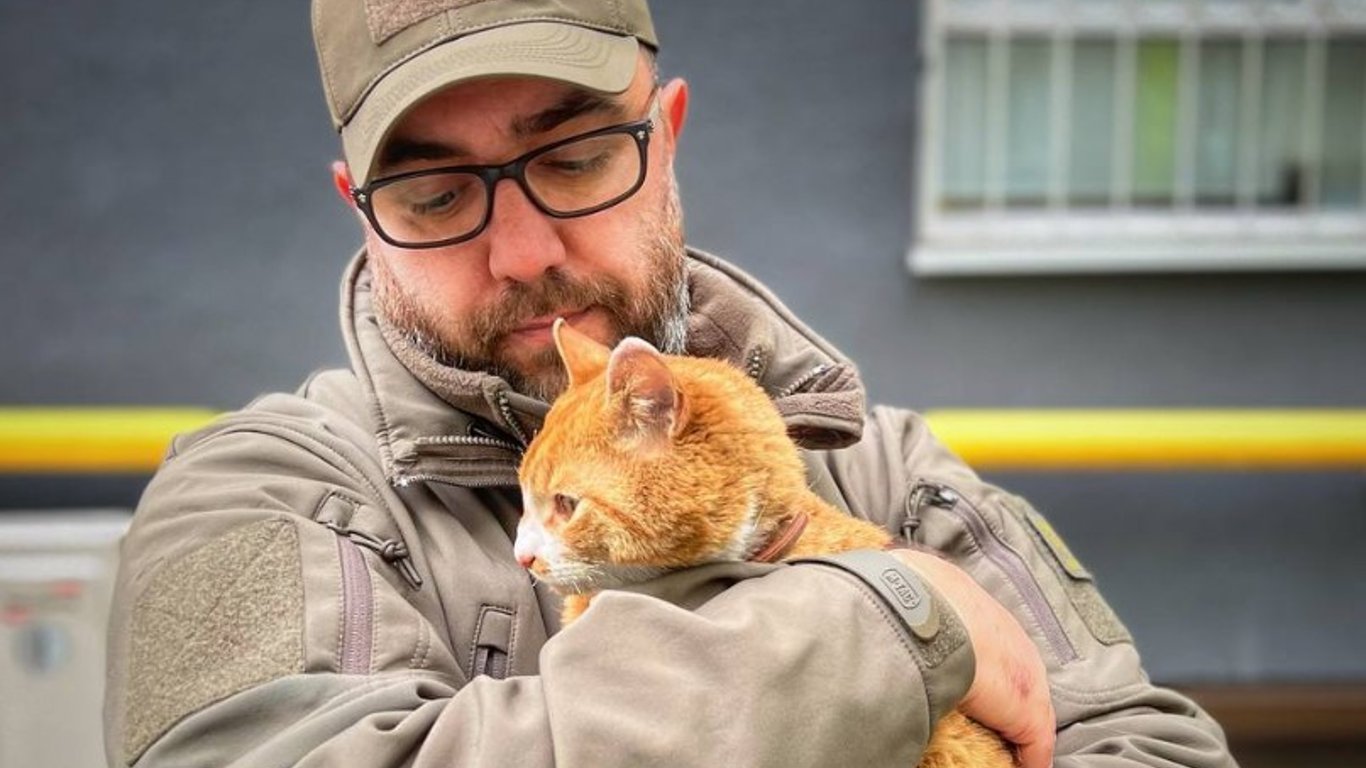 Украинский военный нашел кота, которого считали мертвым - видео