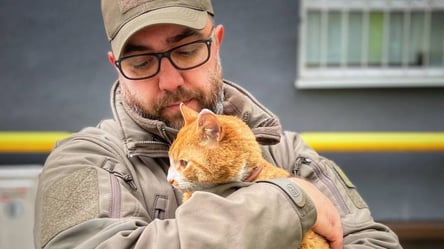 Чудесное спасение в Ирпене: украинский военный нашел кота, которого считали мертвым - 285x160