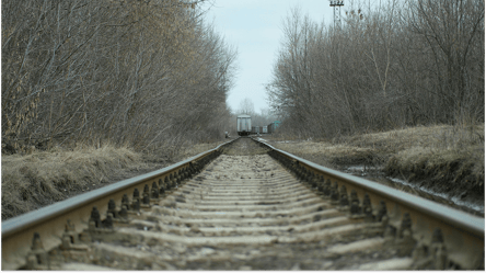 Можно ли срезать на дрова сухостой возле железнодорожных путей - 285x160