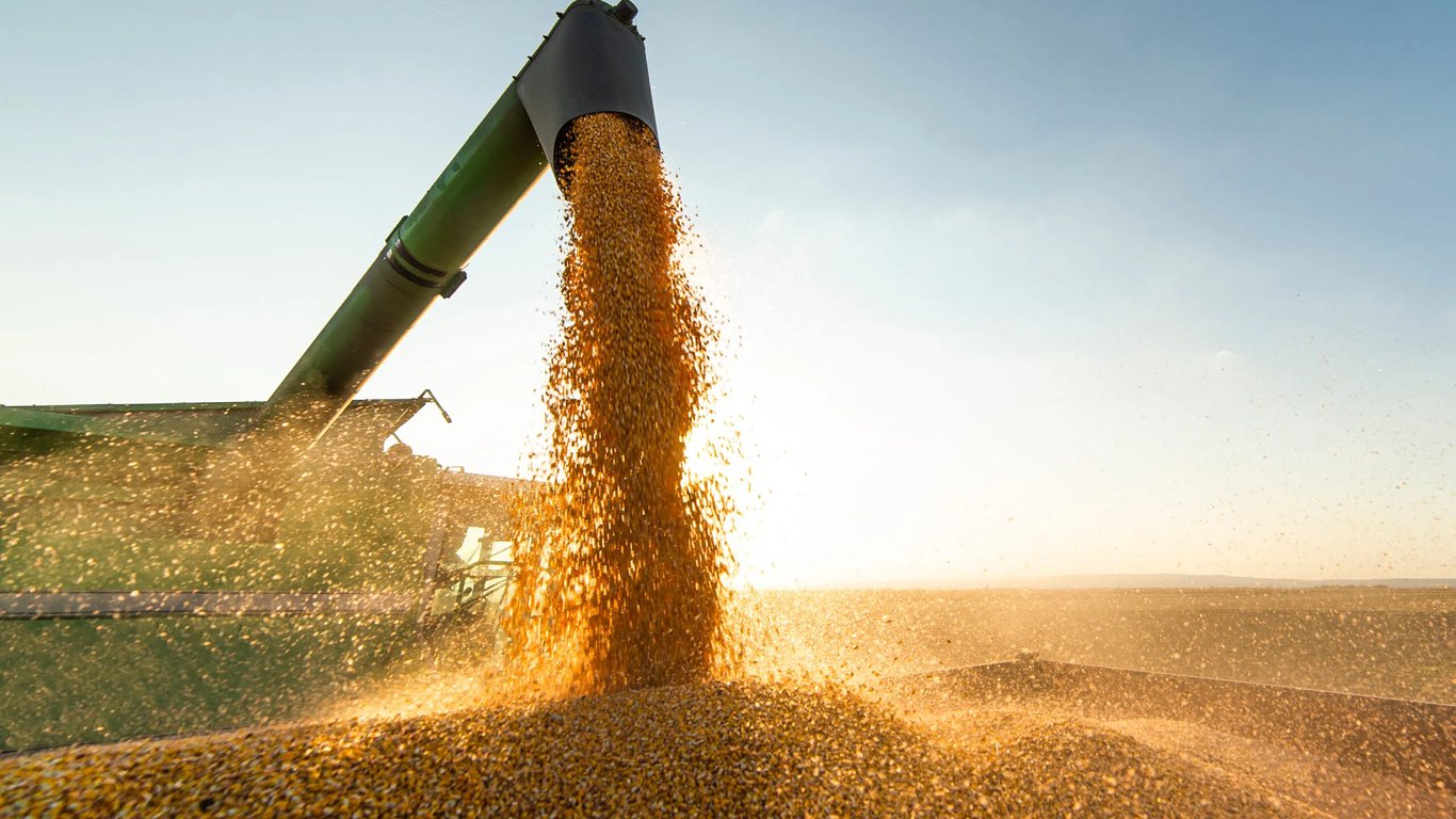 Ціни на зернові в Україні станом на 29 липня 2023