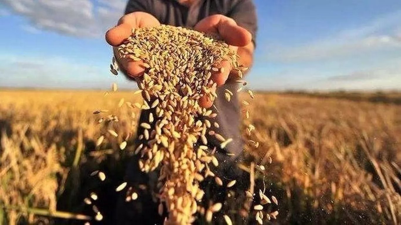Окупанти можуть вкрасти в Україні зерно на мільйони доларів