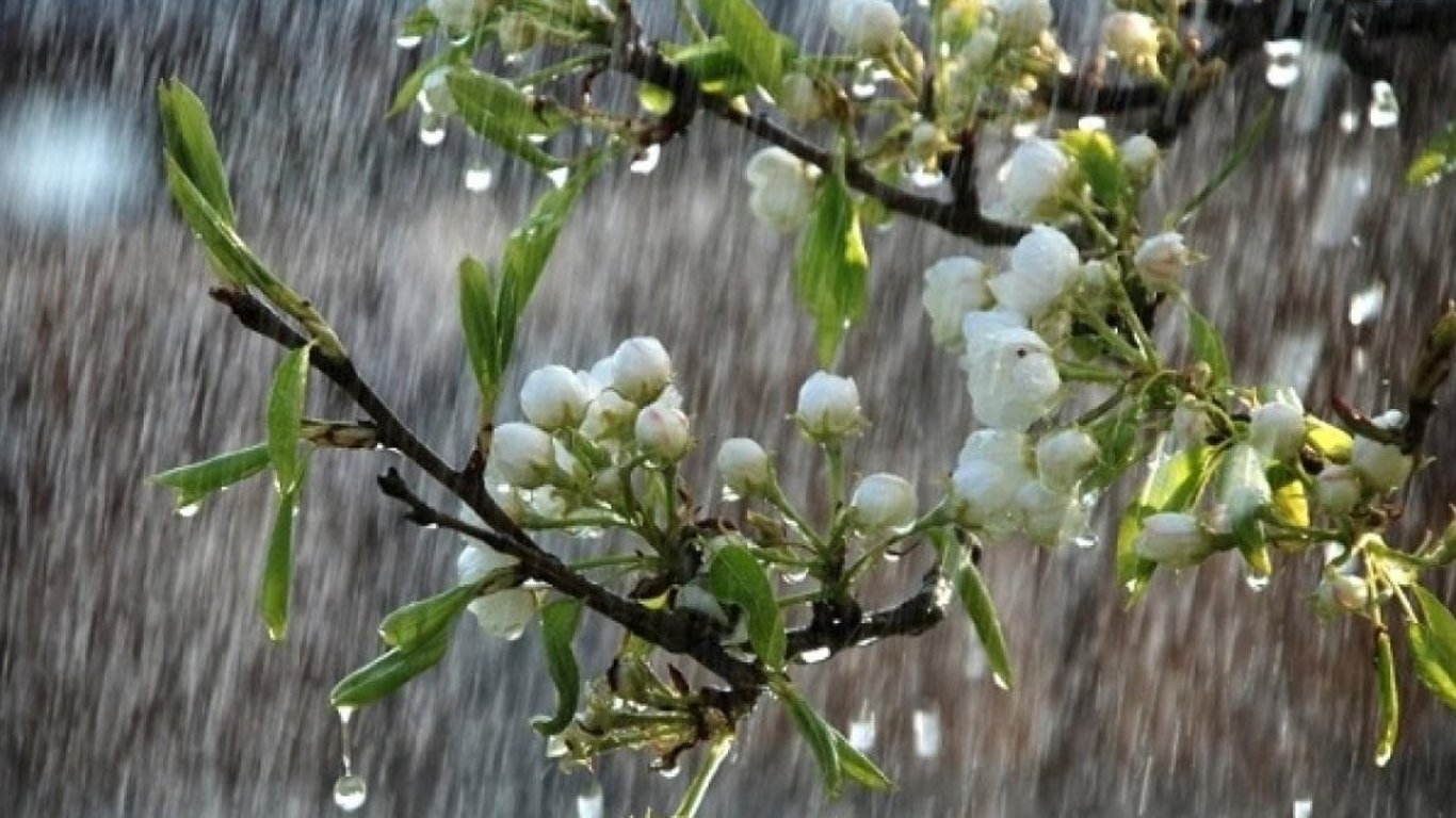Погода в Украине 9 мая - холодно и с дождями