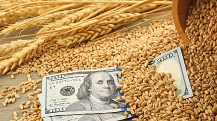 Украинское зерно, которое украла россия, уже в Средиземном море - 285x160