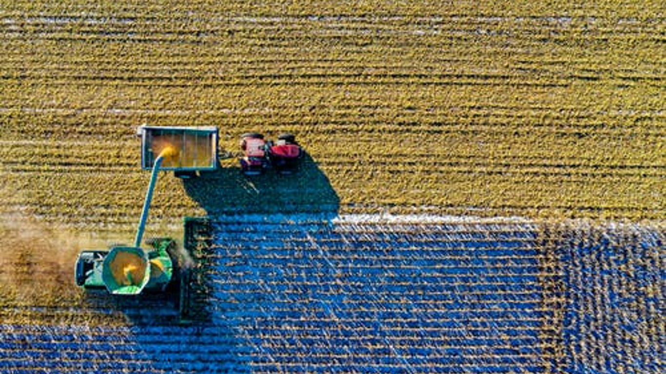 Фермеры Запорожской области не спешат засевать поля: россияне воруют зерно и сельхозтехнику