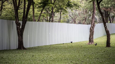 Як далеко можна садити дерева від паркану сусіда — правила - 285x160