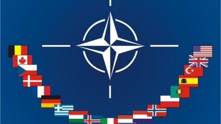 В НАТО заочно договорились не передавать Украине тяжелое оружие - СМИ - 285x160