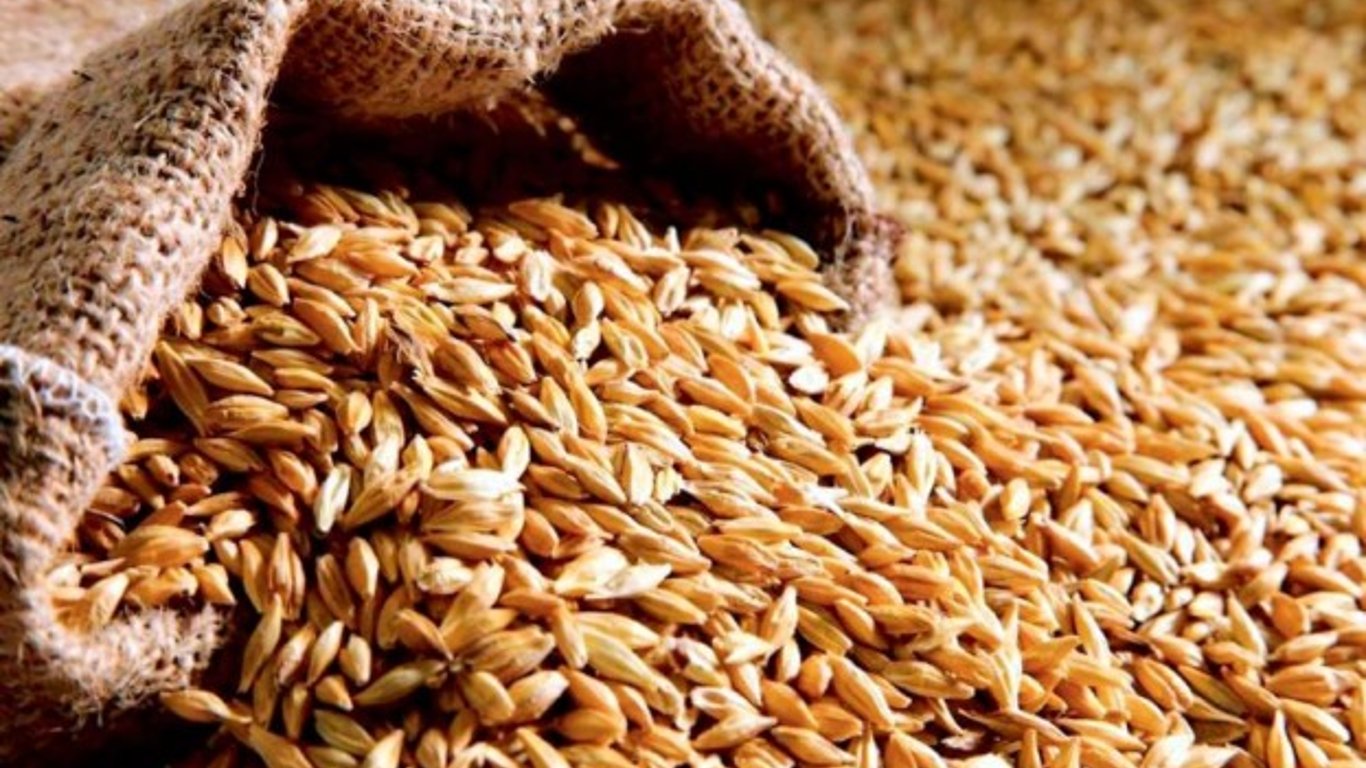 Турция якобы покупает в россии краденое украинское зерно