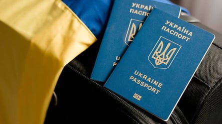 Денежная помощь в Украине: увеличился список регионов, которым принадлежат выплаты ВПЛ - 285x160