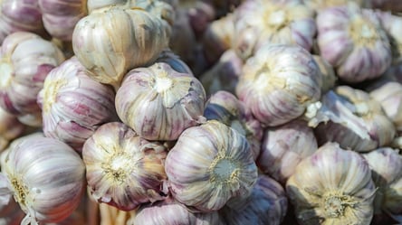 Такие цены на чеснок продержатся недолго — где выгодно купить - 285x160