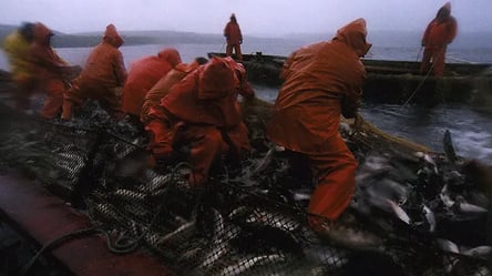 В рф вирішили заборонити Японії вилов риби поблизу Курильських островів - 285x160