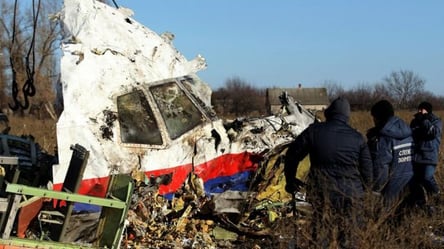 В Нідерландах завершився суд у справі збитого літака МН17 - 285x160