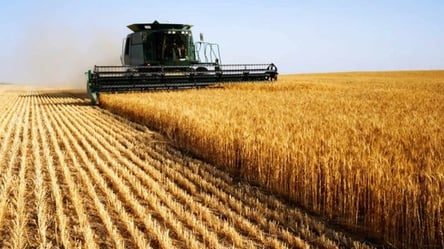 рф пытается уничтожить украинский урожай - Офис Президента - 285x160