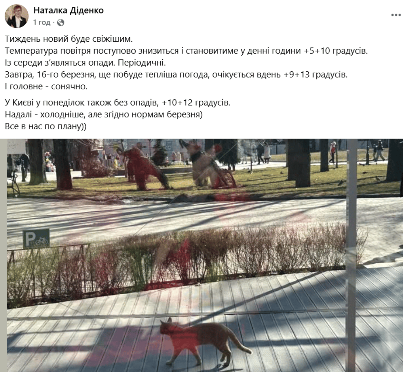 Прогноз погоди в Україні на 16 березня