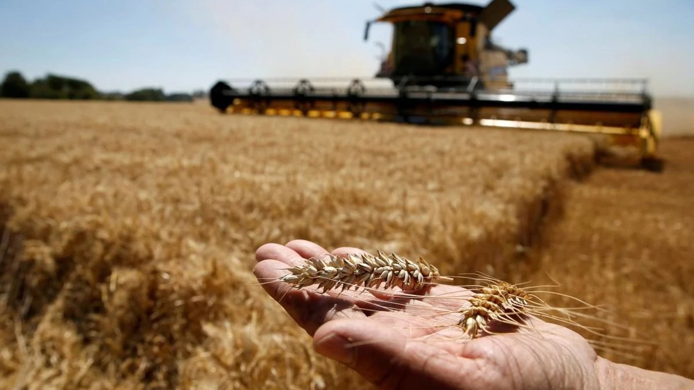 США пытаются предотвратить продажу украденного украинского зерна