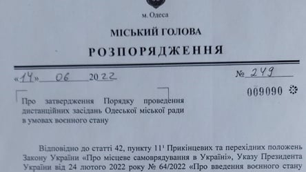 Одесские депутаты хотят голосовать онлайн: часть заявила бойкот - 285x160