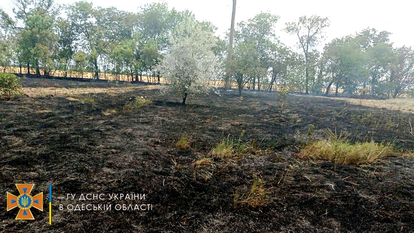 Мало не згоріла пшениця: в Білгород-Дністровському районі врятували врожай