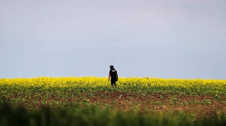 "Мы стали страной в берцах": Зеленский о четырех месяцах войны в Украине - 285x160