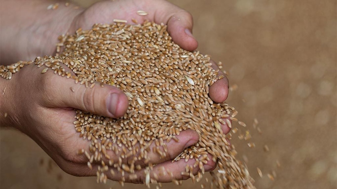 Німеччина сподівається, що у липні українське зерно експортуватимуть щодня