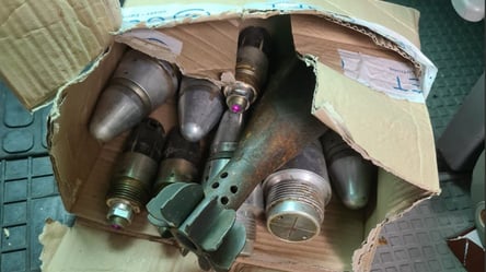 Киянин влаштував склад боєприпасів у квартирі: що в нього знайшли - 285x160