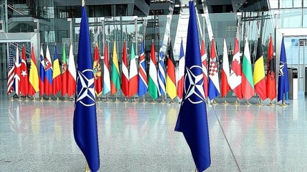 НАТО офіційно запросить Фінляндію та Швецію до Альянсу - 285x160