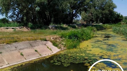 Экологическая катастрофа на Дунае: озера и лиманы Бессарабии высыхают - 285x160
