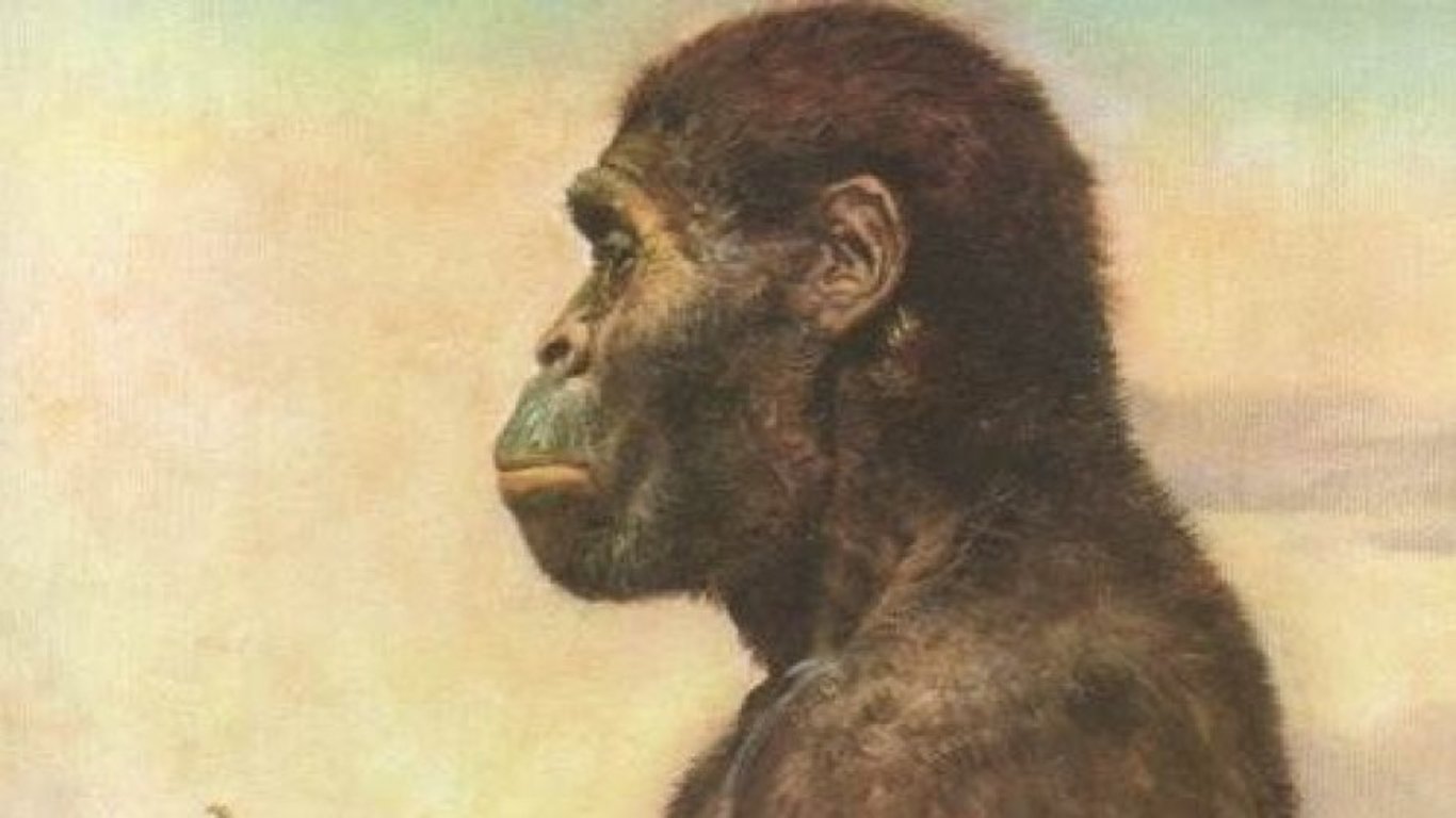 Самый древний предок человека – исследование ученых