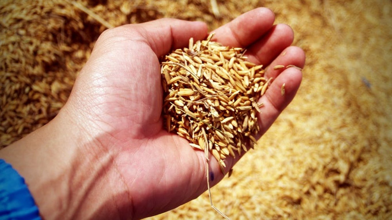 Росія регулярно вивозить в Туреччину українське зерно