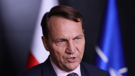 ВСУ будут обучать польских военных бороться с дронами — Сикорский - 285x160