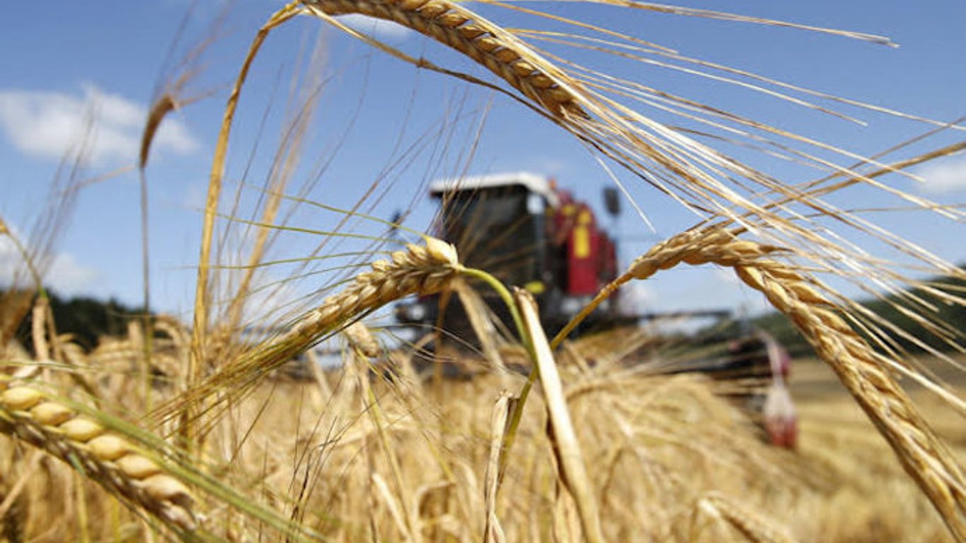 ФАО виділить Україні 17 млн доларів на збереження врожаю та експорт зерна