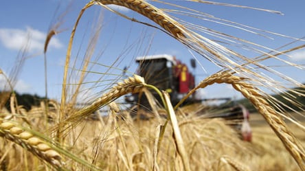 ФАО виділить Україні 17 млн доларів на збереження врожаю та експорт зерна - 285x160