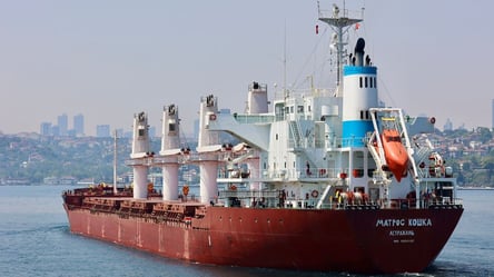 Киев просит Турцию проверить три российских судна: названа причина - 285x160