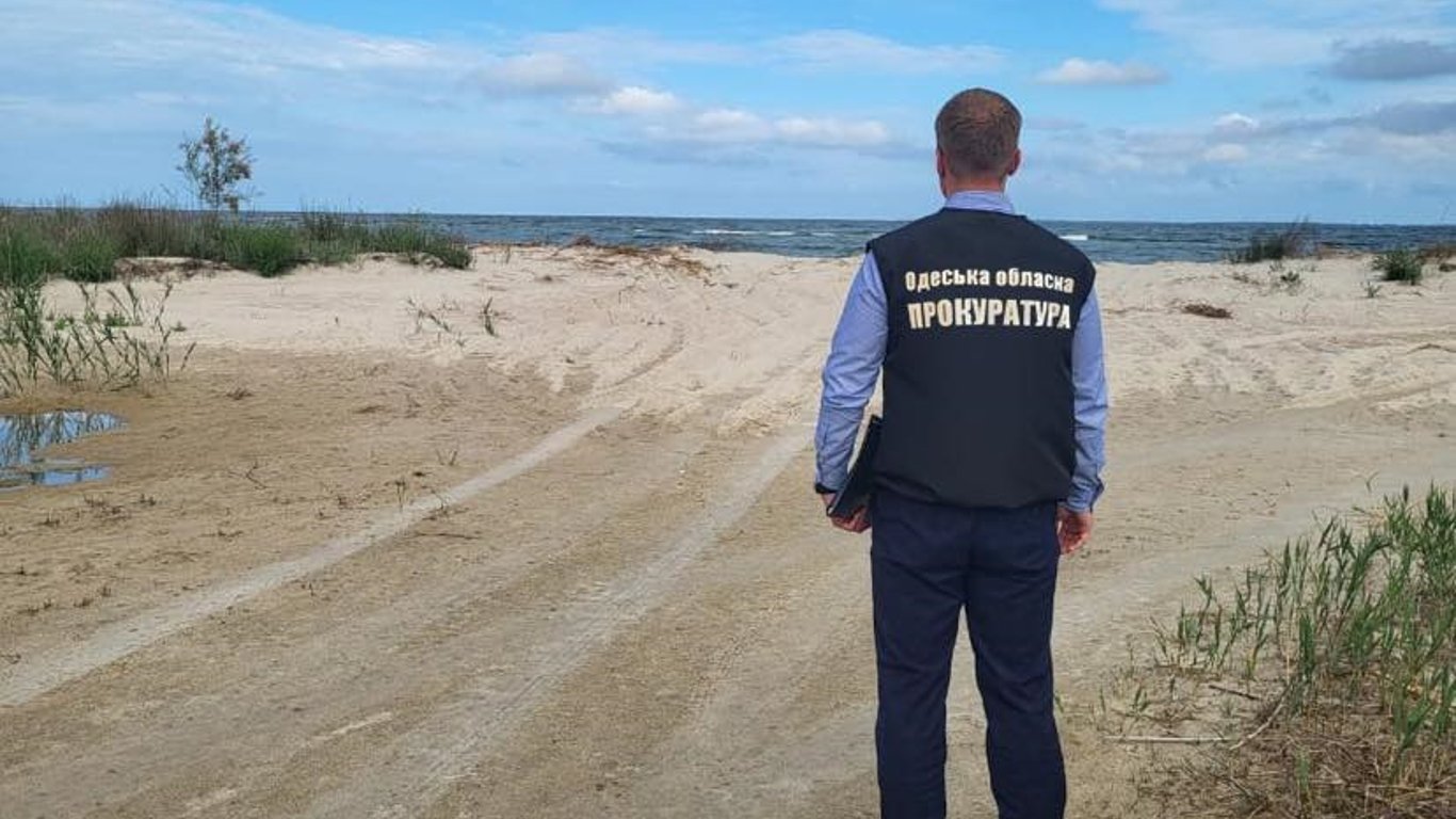 Распродал побережье под дачи: в Одесской области арестовали топ-чиновника