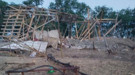 На Одещині окупанти атакували Зміїний та знищили ангари із зерном - 285x160