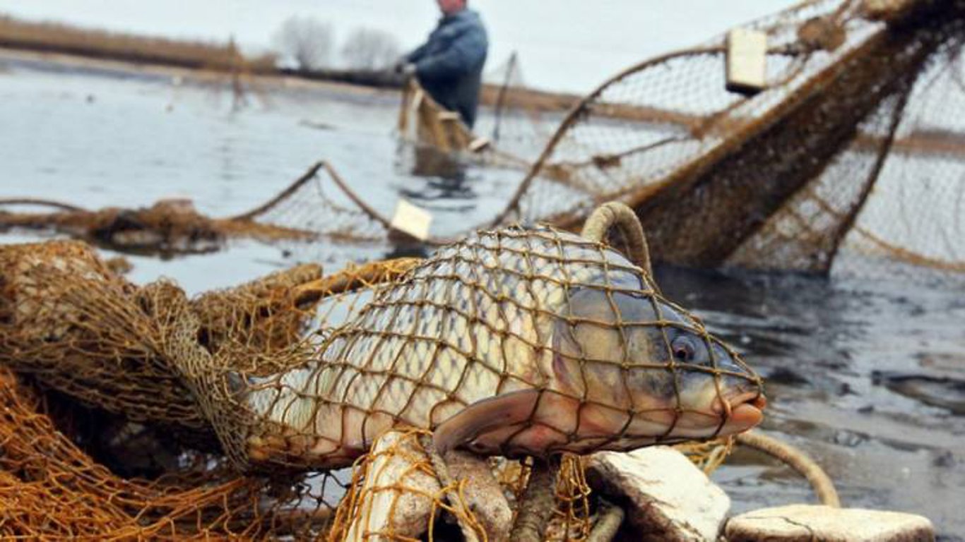 Выловил рыбы более чем на 170 тысяч гривен: патрульные Одесщины задержали браконьера