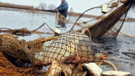 Выловил рыбы более чем на 170 тысяч гривен: патрульные Одесчины задержали браконьера - 285x160