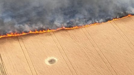 Загарбники на Запоріжжі підпалють поля з пшеницею, — Ніколенко - 285x160