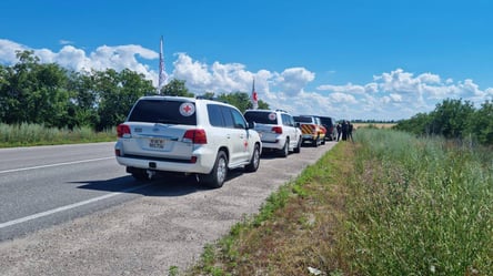 Україна повернула тіла 30 полеглих військових: операція відбулася на Запоріжжі - 285x160