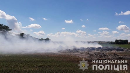 Оккупанты ракетами за день уничтожили 600 га зерновых в Запорожской области. Фото - 285x160