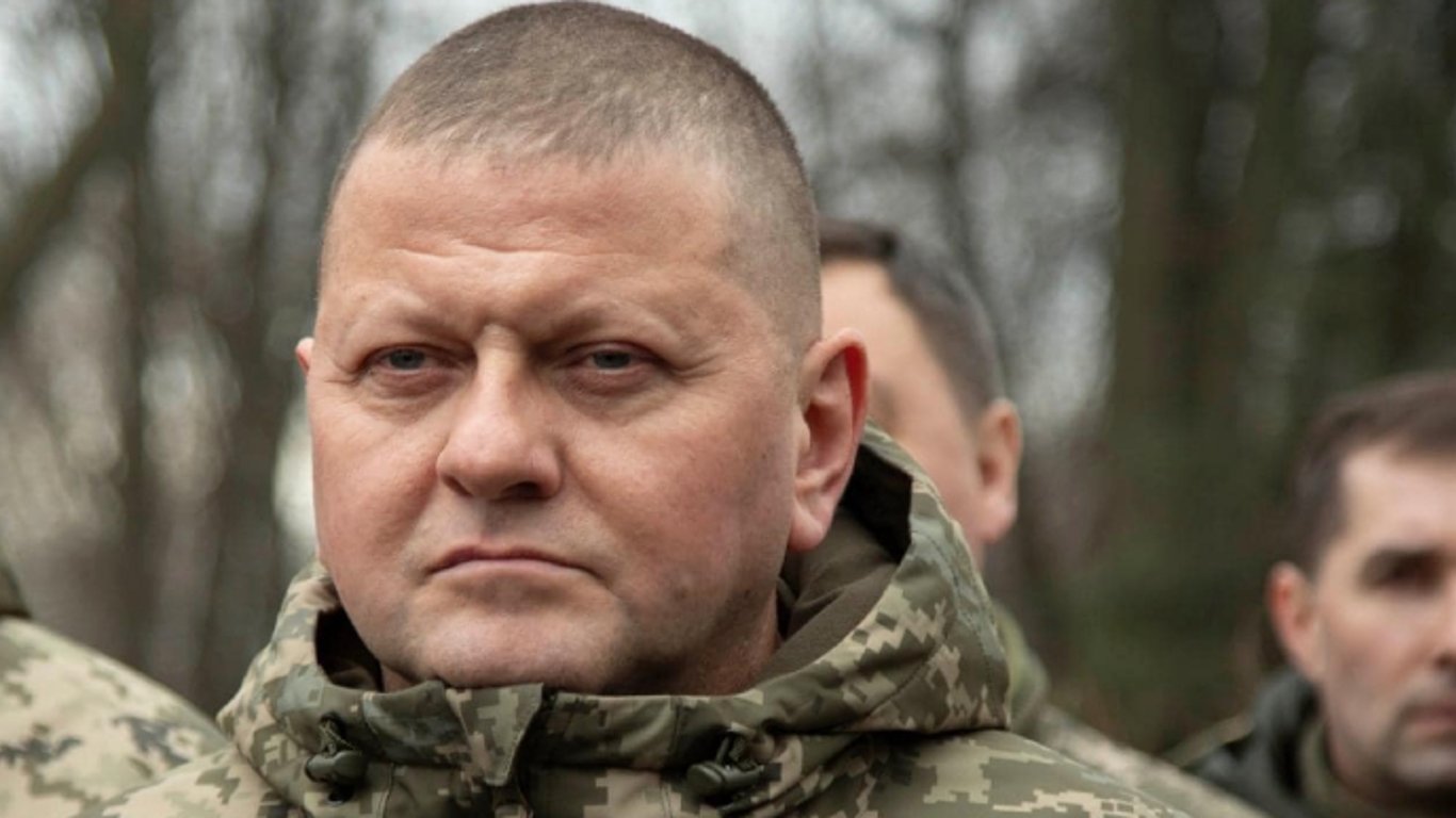 Залужный заявил, что Украина не допустит попадания оружия с Запада в руки террористов