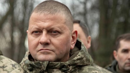 Залужный заявил, что Украина не допустит попадания оружия с Запада в руки террористов - 285x160