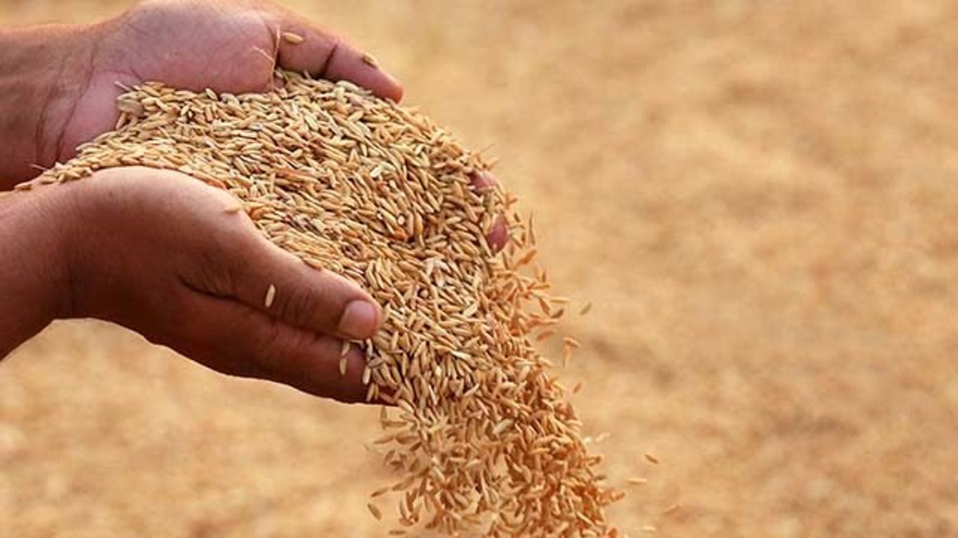 Іран пообіцяв не купувати крадене українське зерно в рф