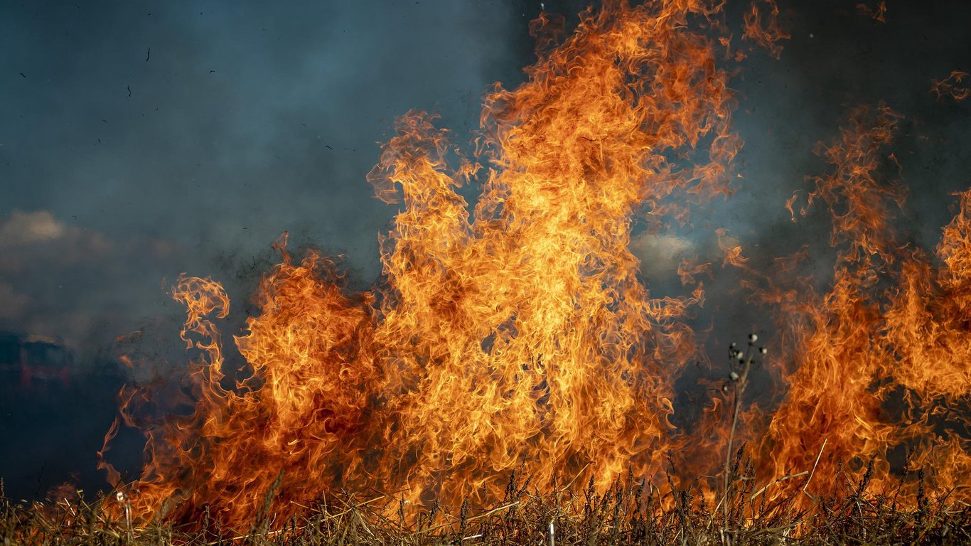 В Одесской области объявлена чрезвычайная пожарная опасность высшего класса