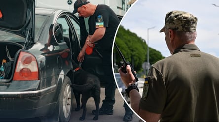 Які документи потрібні вчителю для виїзду з тещею за кордон - 290x160