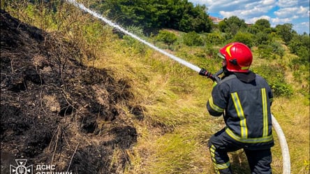Масштабный пожар на склонах Одессы — подробности - 285x160