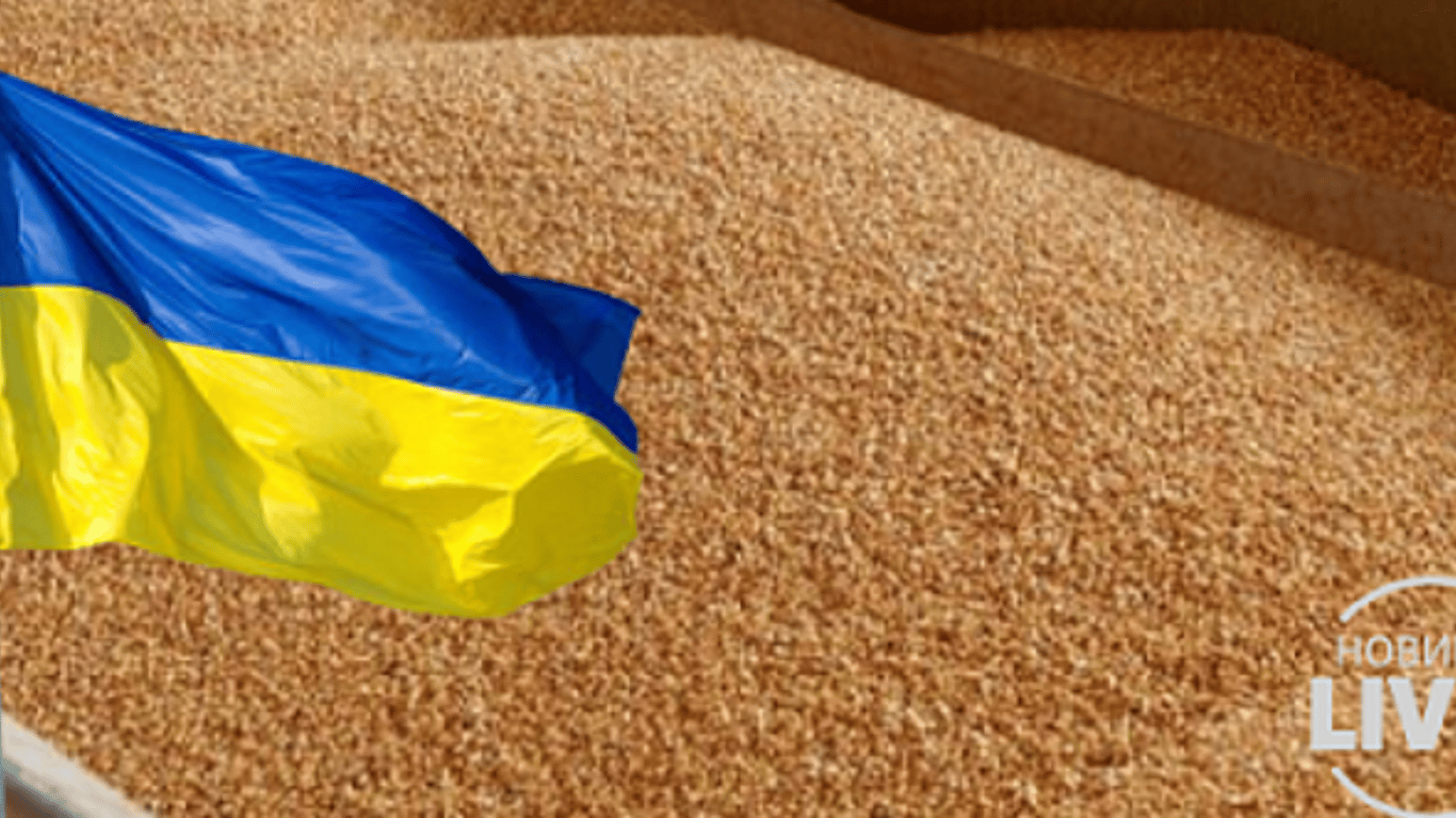 У Туреччині підписано договір про експорт українського зерна: всі подробиці