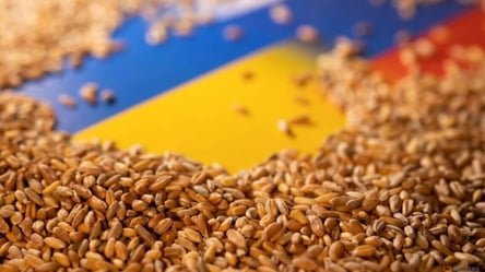 У Мінінфраструктури розповіли, чи Україна продовжить підготовку до експорту зерна з портів - 285x160