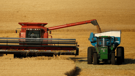 Ціни на зерно в Україні — скільки коштує пшениця у квітні - 285x160