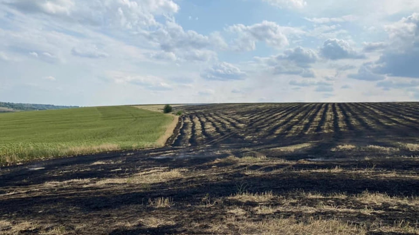 На Одещині палій знищив чотири гектари землі