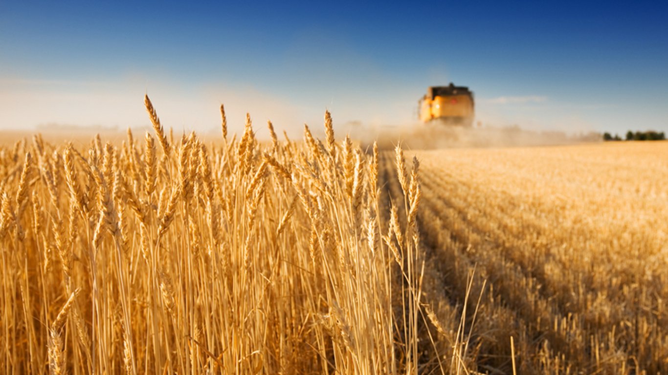 Експорт українського зерна може відбуватися повільно